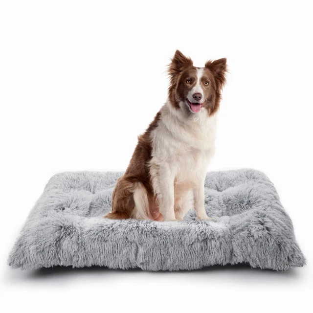 Washable Pet Dog Cat Bed Puppy Cushion House Pet Soft Warm Kennel Dog Mat Blanke 4