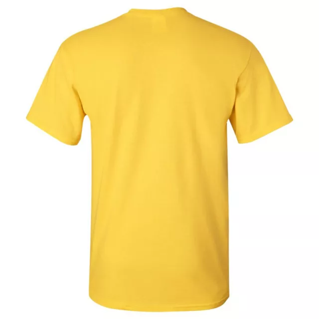 New Mexico State Flag - Hometown Pride Souvenir Basic Cotton T-Shirt - Daisy 3