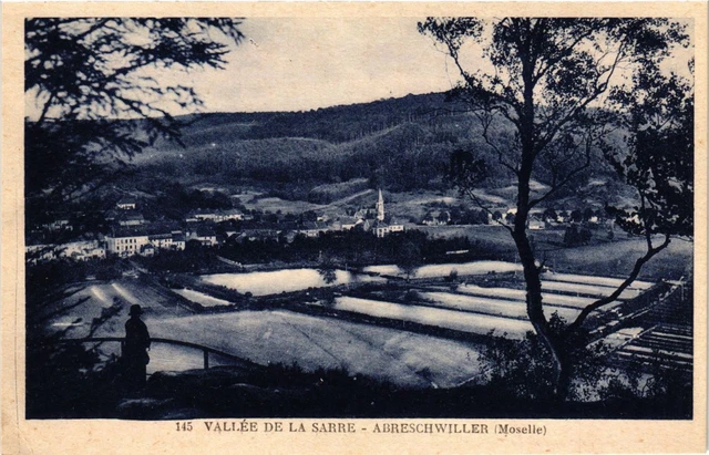 CPA AK Vallée de la Sarre - ABRESCHVILLER (255308)