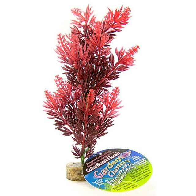 Cinta azul planta de arbusto con base de grava - rojo