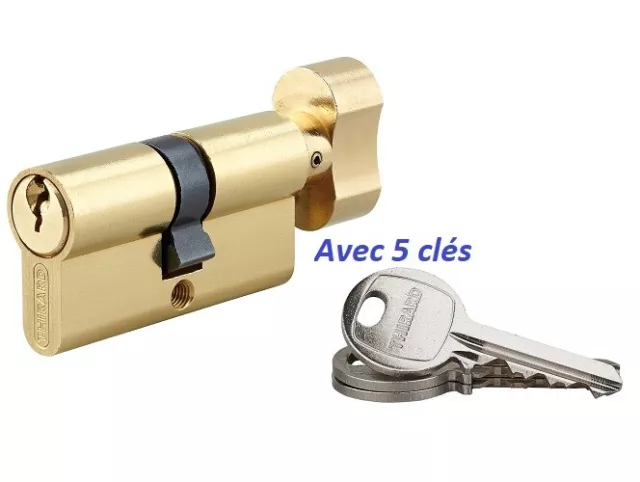Cylindre Serrure Europeen 30/30 Bouton Laiton Avec 5 Cles