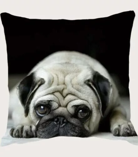 Gorgeous BLACK PUG WARM Velvety VELOUR Zipped 44.5cm Square Cushion Cover, UK!
