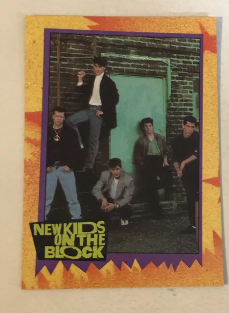 New Kids On The Block Trading Card NKOTB #4 Donnie Wahlberg Jordan Knight