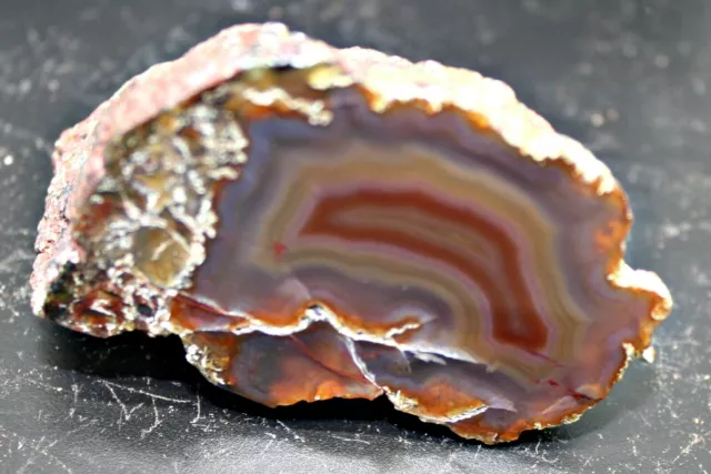 Laguna Agate Mexico, 3oz 84g Amazing Like Glass Face Polish! 2 1/4" X 1 1/2"
