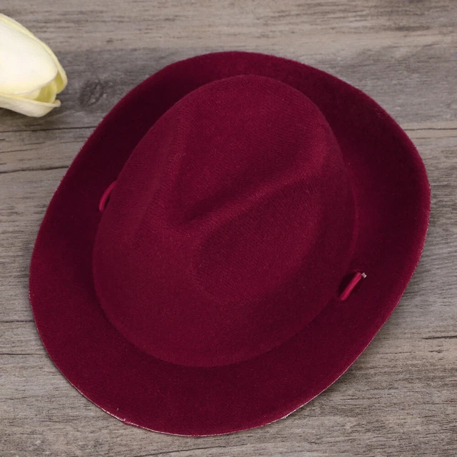 Costume de Cosplay de chat de chien de compagnie chapeau de cowboy noël