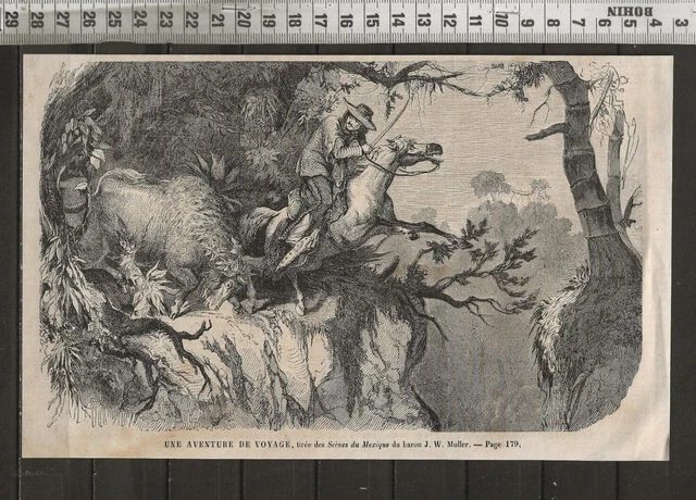 G408 / Gravure 1888 / Une Aventure De Voyage / Scenes Du Mexique
