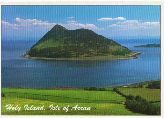 Scotland Postcard - Holy Island - Isle of Arran - Ayrshire - Ref TZ2990