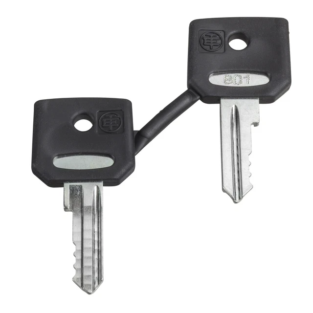 jeu de 2 cles specifiques - completer la ref avec le numero de la cle. ZBGK