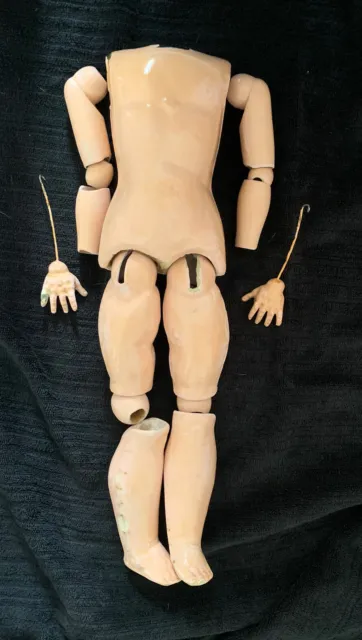Antique Doll  Composition Ball Jointed Body 19.5" For Bisque Head
