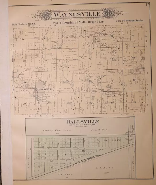 1894 Plat Map ~ WAYNESVILLE Twp., HALLSVILLE, DeWitt Co., ILLINOIS (15x17)-#015