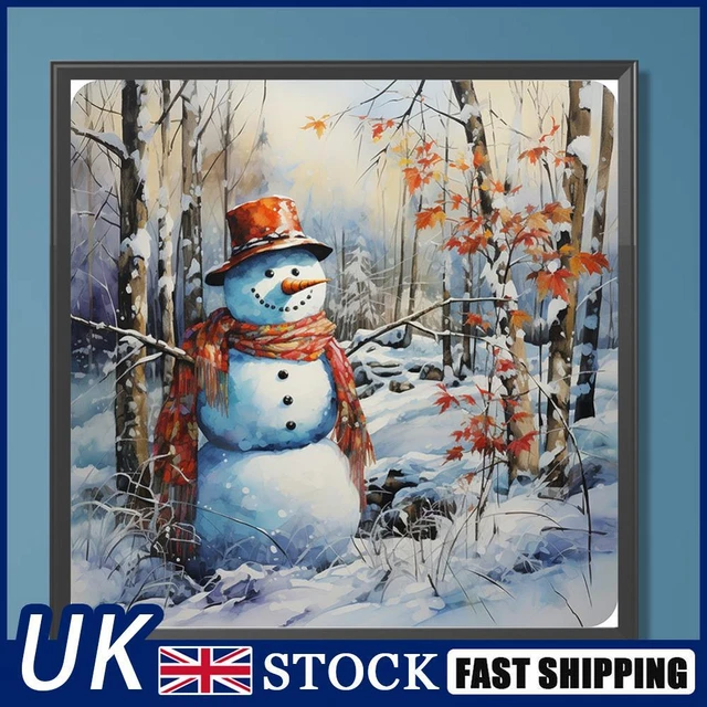Paint By Numbers Kit DIY Oil Art Snowy Land Picture Home Wall Decor 40x40cm