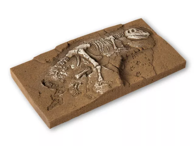 Duro Espuma T Rex ( Noch ) & 5 Ho / Oo Pintado Archaeologists + Accesorios