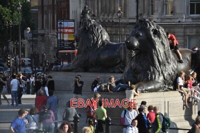 Photo  London Trafalgar Square Lions Statues Of Lions Under Nelson's Column.