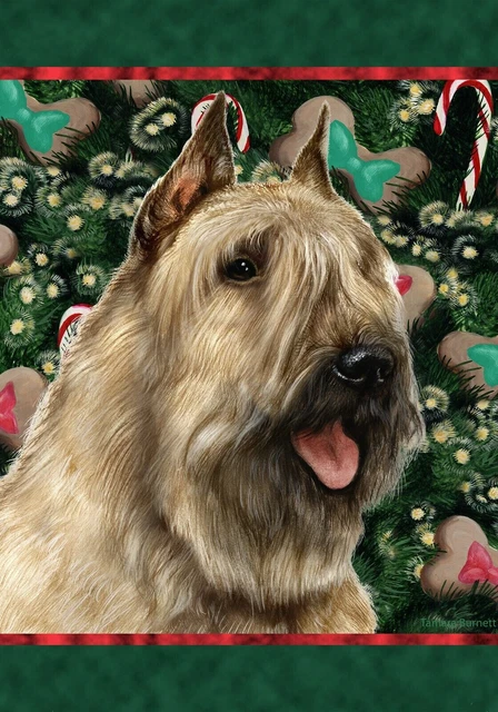 Christmas Holiday Garden Flag - Fawn Bouvier des Flandres 144131