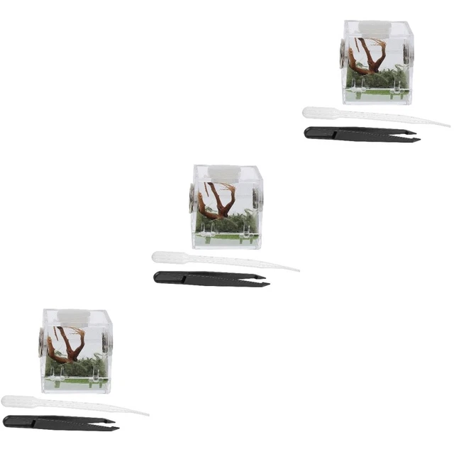 3x Breeding Box Spider Habitat Reptile Habitat Feeding Box