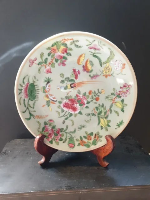 Antique CHINESE  Plate assiette  chine  celadon céramique porcelaine kangxi ?