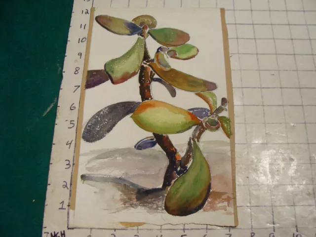 vintage Original ELSA LIBBY Art: WATER COLOR FLOWERS 1930's or so #10 BANANA 3