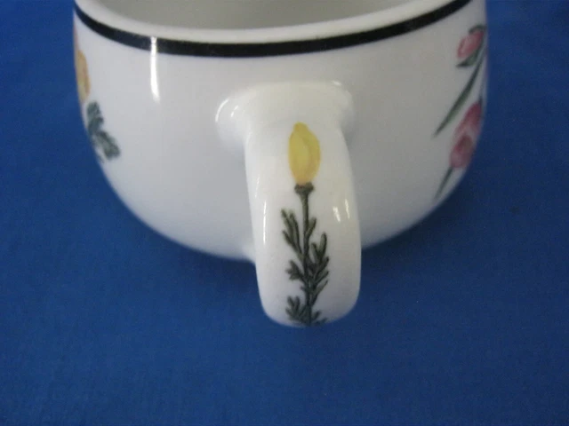 Southern Pacific Lines Prairie Mountain Wildflowers Railroad Cup Shenango VHTF 3