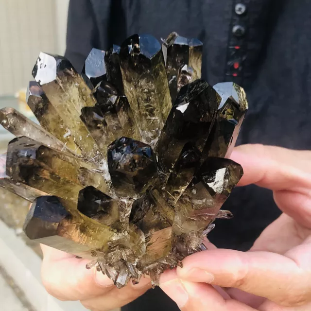 1.41LB New Find black Phantom Quartz Crystal Cluster Mineral Specimen Healing