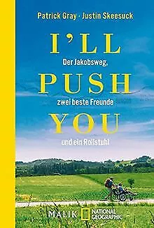 I'll push you: Der Jakobsweg, zwei beste Freunde und ein... | Buch | Zustand gut