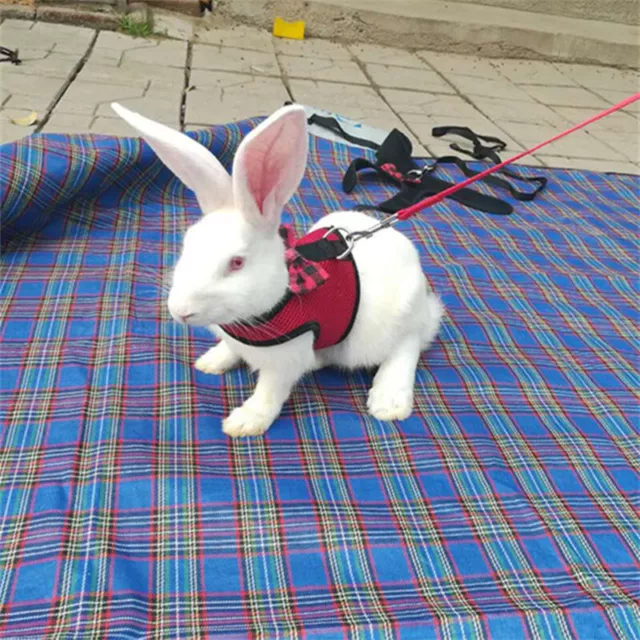 Pet Mesh Soft Harness With Leash for Hamster Rabbit Bunny Small animal B-wf