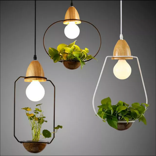 Hanging Garden Plant pendant light ceiling lighting Creative Chandelier Gift