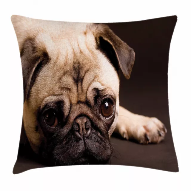 Carlin Housse de Coussin Les animaux de la photo du chiot