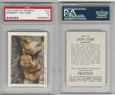 F55 Frostick, Animal Cards, 1933, #13 Barbary Lion Cubs, PSA 5 EX
