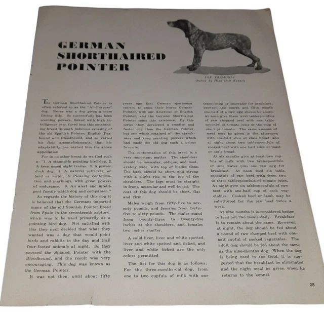 Origin History Temperament & Care of German Shorthaired Pointer & Great Dane