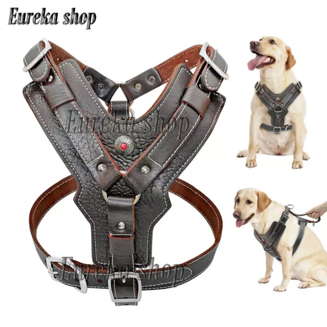 Dog Harness Genuine Leather No Pit-bull Pull Large Breed with Handle A Quality