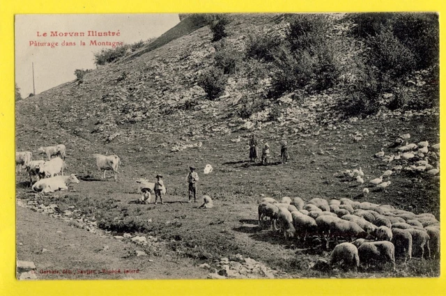 cpa Burgundy FRANCE Ed. SAULIEU Le MORVAN PASTURAGE in the ANIMATED MOUNTAINS