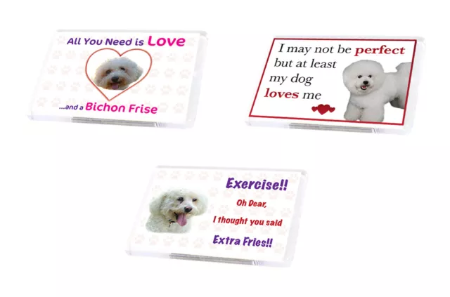 Cute Funny Dog BICHON FRISE Fridge Magnet Various Designs Ideal Present