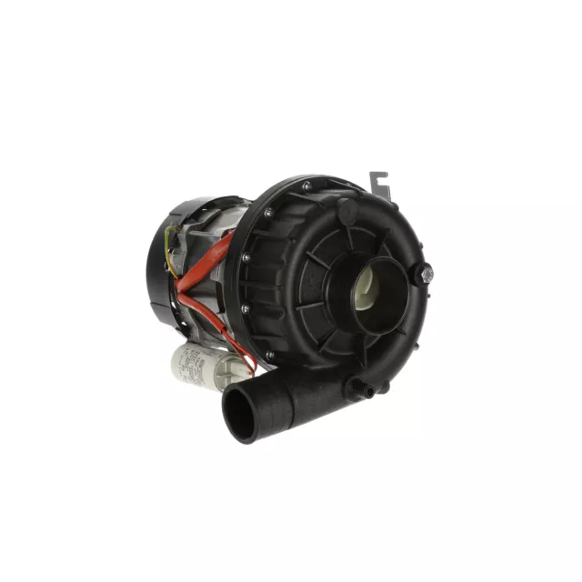 Electrolux Zanussi Wash Pump 230V 1 PH 50HZ 0.8KW - 0L0092