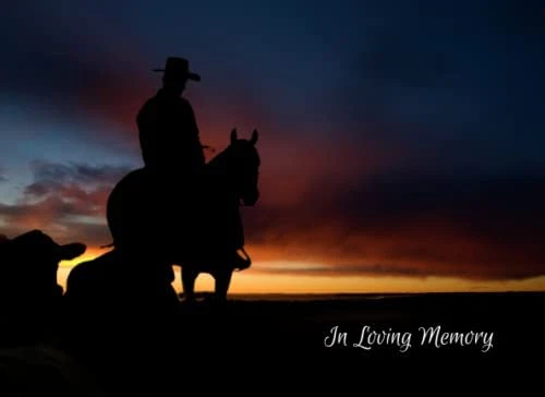 In Loving Memory Horse: Libro de condolencias para funerales o vigilia, invitado a funeral de