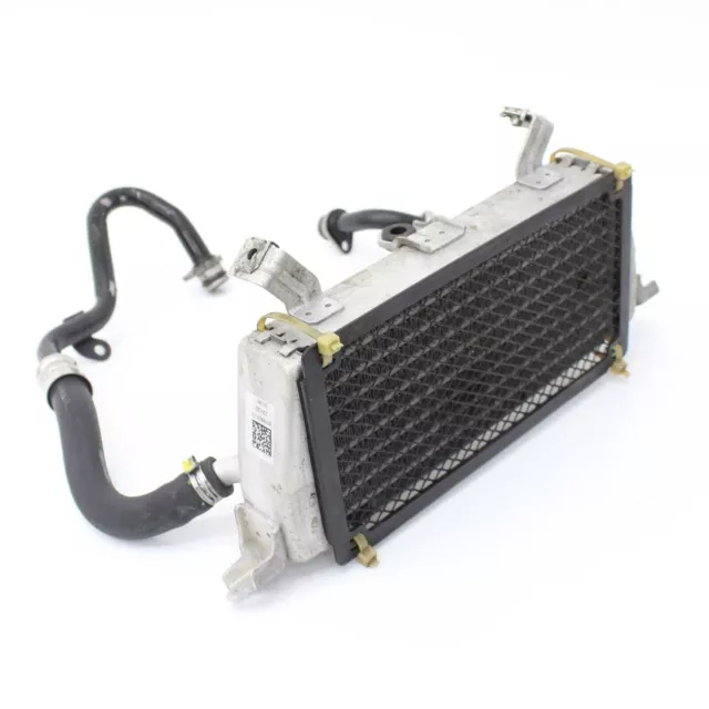 2020 ON BMW S 1000 XR TE Oil Cooler - 17218545633