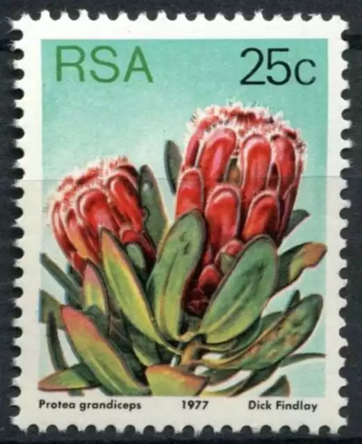 South Africa 1977-82 SG#426c 25c Proteas, Plants Definitive P14x13.5 MNH #E9018