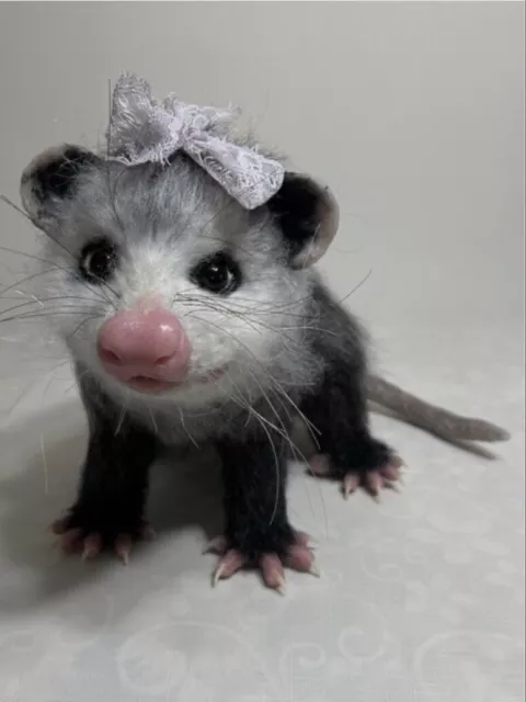 Unique OOAK Opossum~Realistic Artist Collector Felted Wool Animal Sculpture