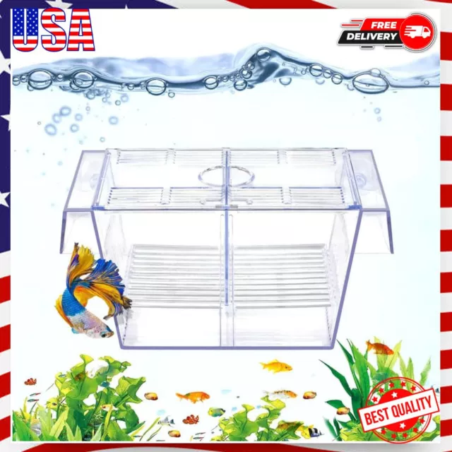 Fish Breeding Box Aquarium Holding Tank Transparent Fish Isolation Box