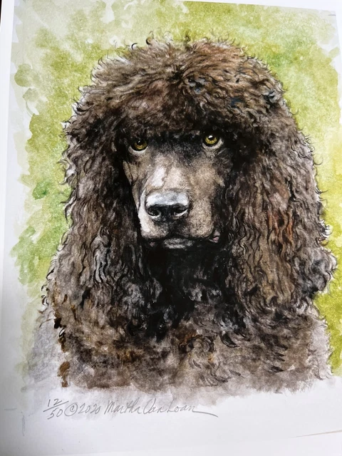 Irish Water Spaniel Limited Print  11/50 By Van Loan head study