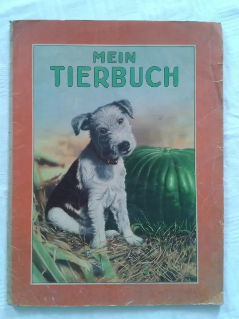 uralt Mein Tierbuch, Bilderbuch für Kinder