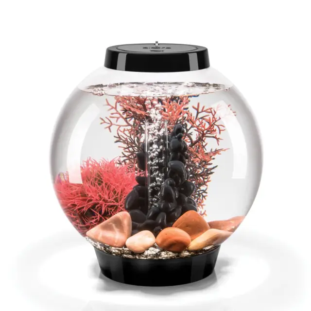 FISH BOWL 4 Gallon Aquarium Tank with Accessories and Decor, White LED Light 2