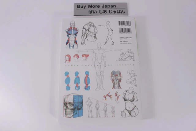 HOW TO DRAW Human Body Character Drawing to Learn from the Basics Guide ...