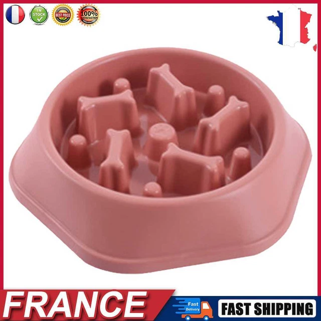 Pet Slow Eating Dish Cat Dog Anti Choking Puppy Feeder Food Bowl (Red) fr