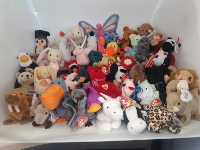 50 Ty Beanie Babies Job Lot Bundle Various BEARS 90s-2000 Inc Rare And Retired