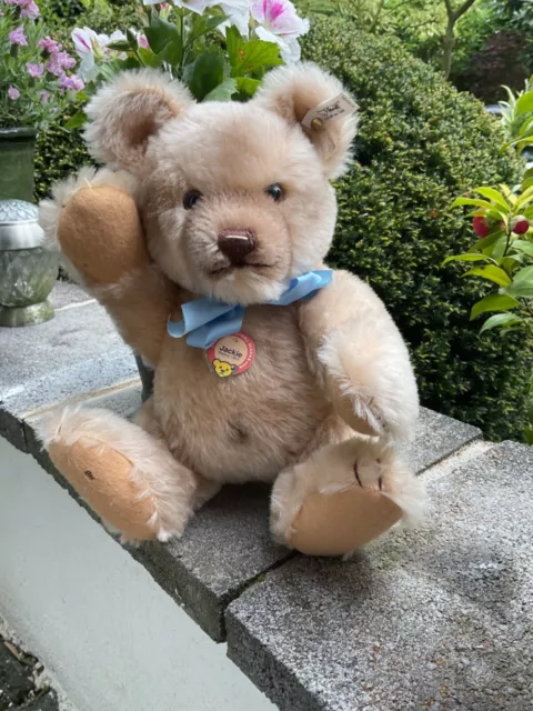 Steiff Teddy Bär Jackie