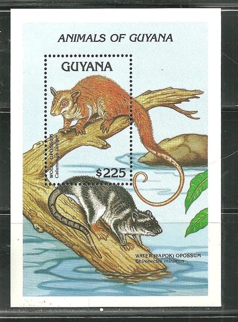 Guyana 2617 Mnh Souvenir Sheet Wooly Opossum Scv 7.00