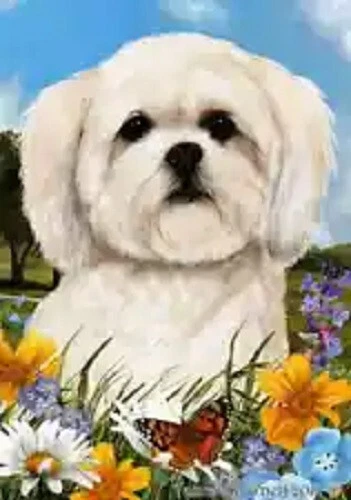 Summer House Flag - White Lhasa Apso 18294