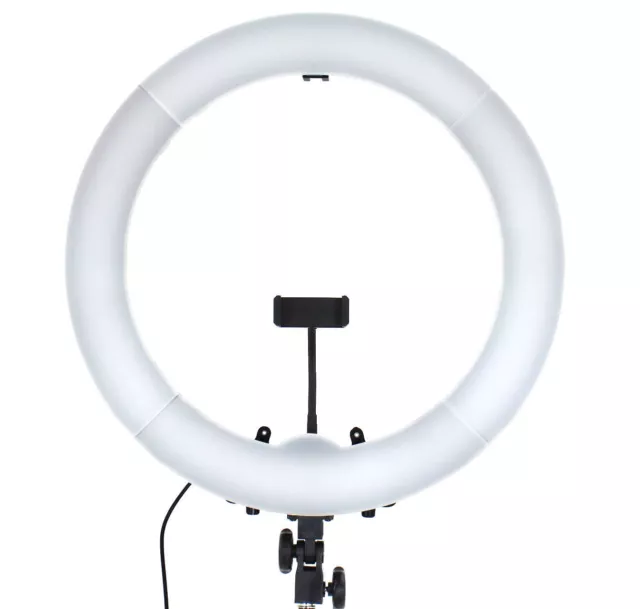 Hakutatz 19" 48cm Dimmable LED Ring Light with Tripod for Tattoo Artists