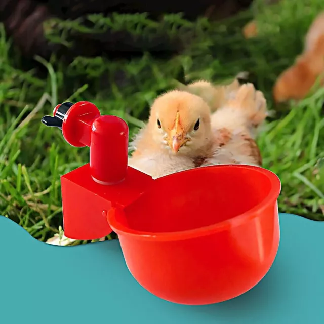 6x Automatic Chicken Water Cup Waterer Poultry Drinking Bowl Feeder Drinker Tool 3