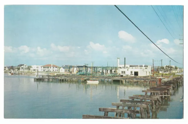 The Marine Corrosion Testing Station at  Wrightsville Beach, N.C. UNP Postcard